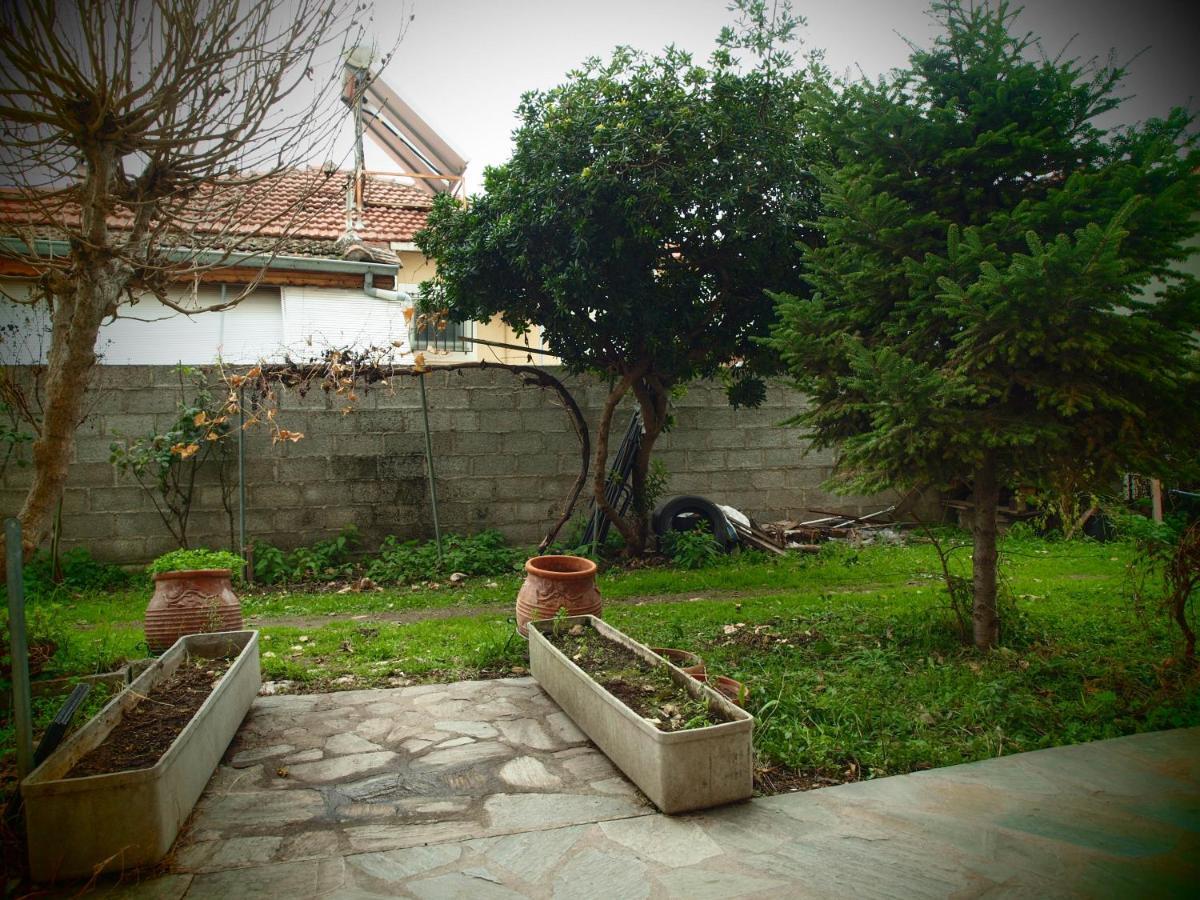 Adam's House *